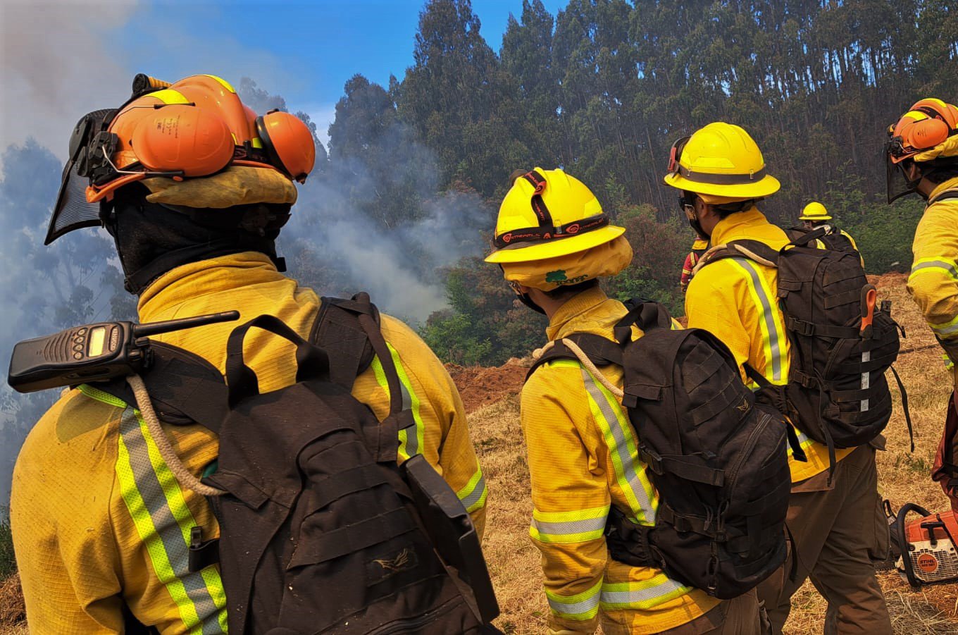 Llaman A Postular Como Brigadista Frente A Nueva Temporada De Incendios