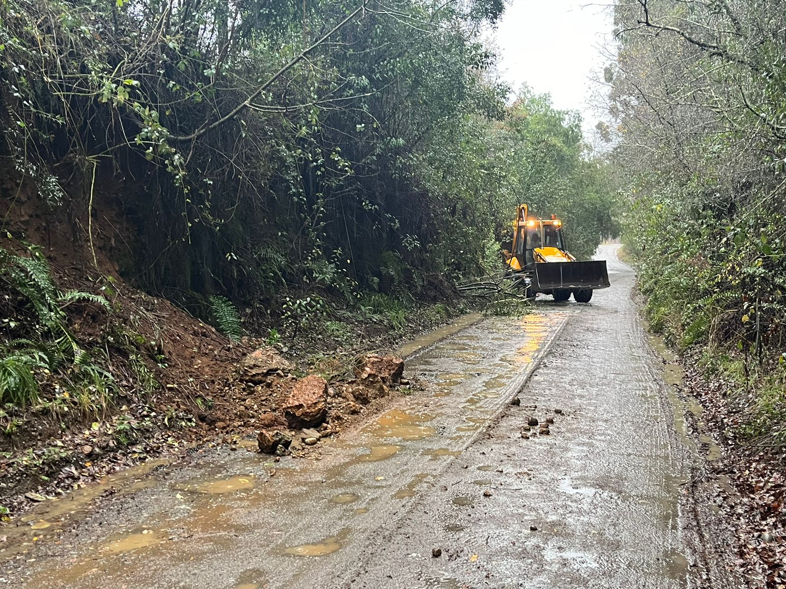 Actualizan Alerta Temprana Preventiva para Los Ríos por evento