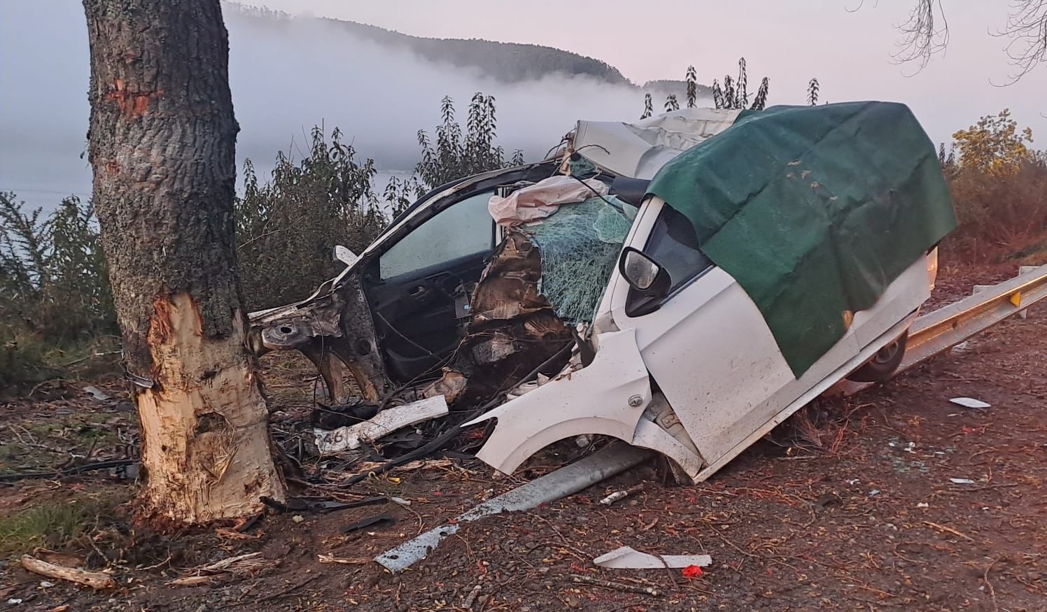 Joven Conductor Muri Tras Chocar Su Veh Culo Contra Un Rbol En Ruta