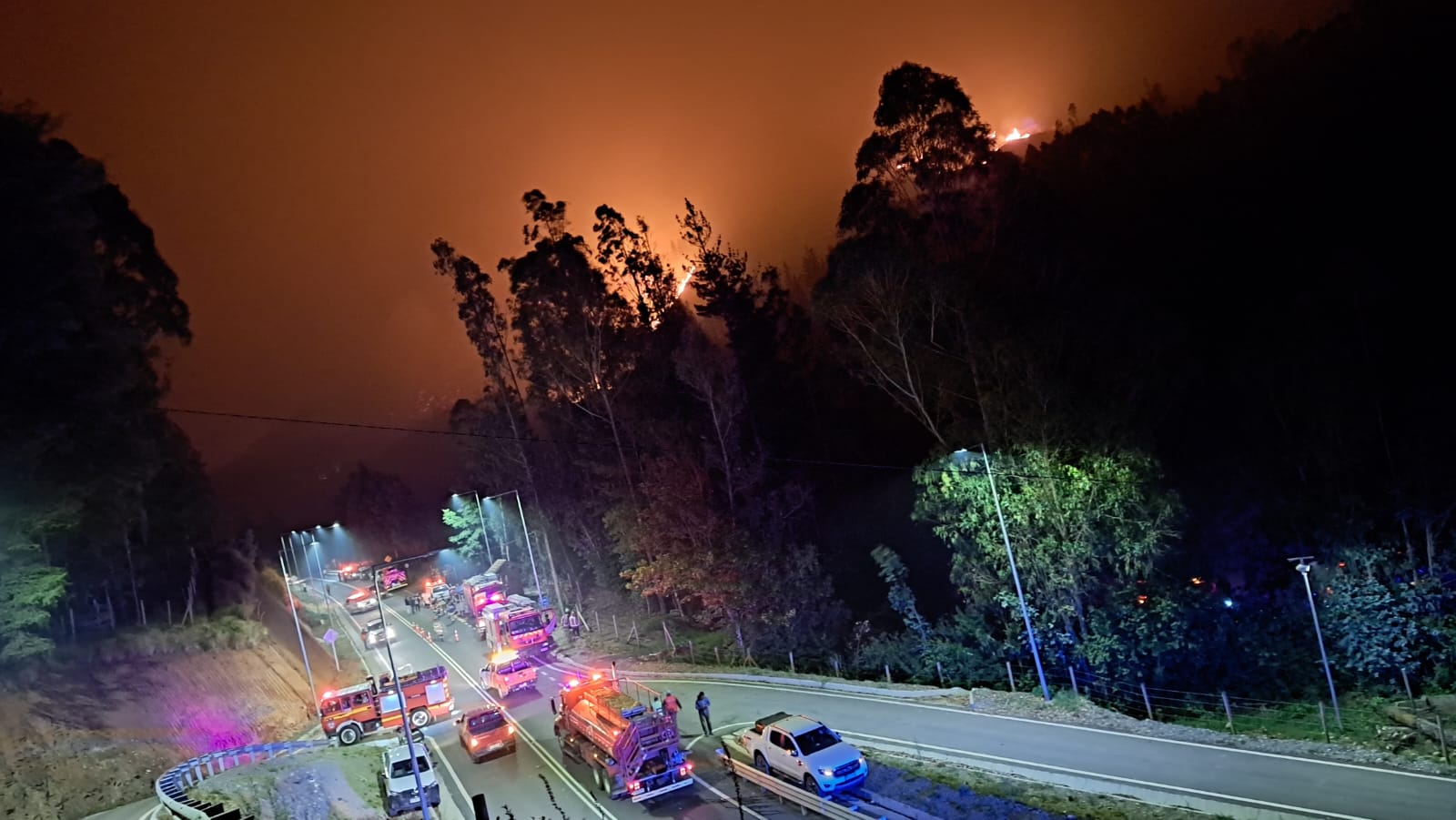 Alerta Roja En Valdivia Y Corral Por Incendio Forestal Y Amenaza Inminente A Viviendas En Futa 2583